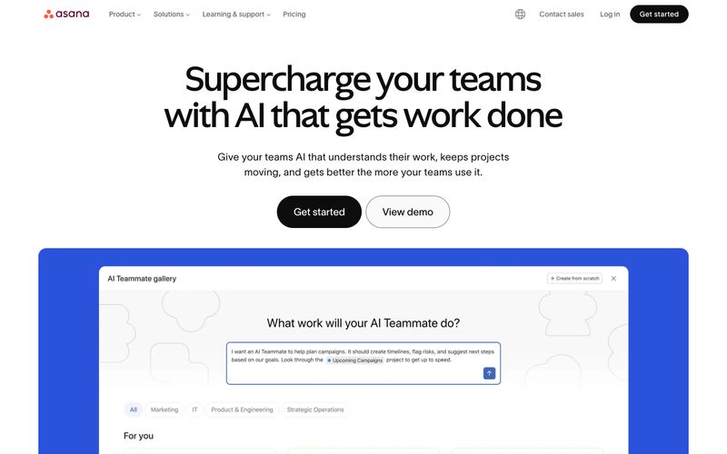 Asana Refero reference thumbnail