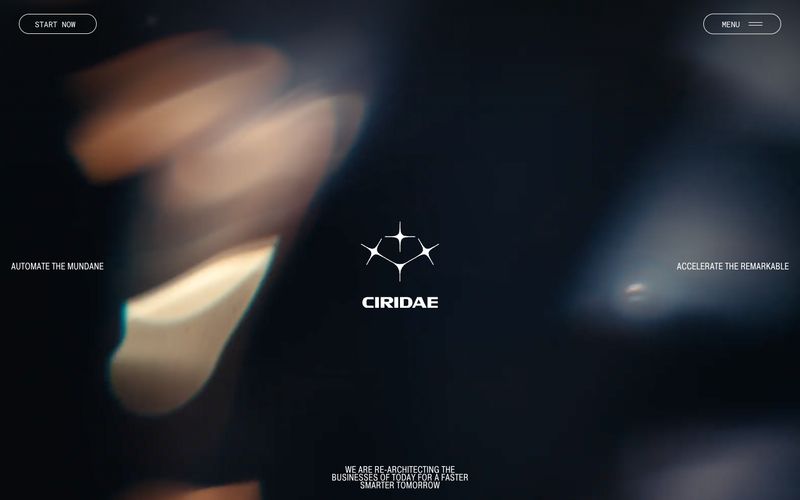 Ciridae Refero reference thumbnail