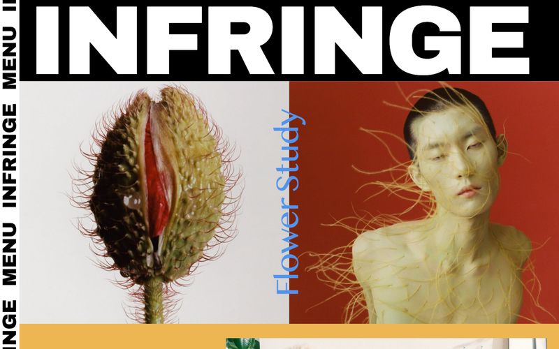 INFRINGE Refero reference thumbnail