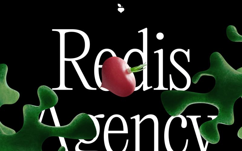 Redis Agency Refero reference thumbnail