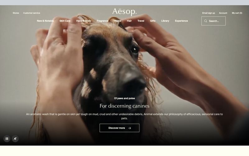 Aesop Refero reference thumbnail