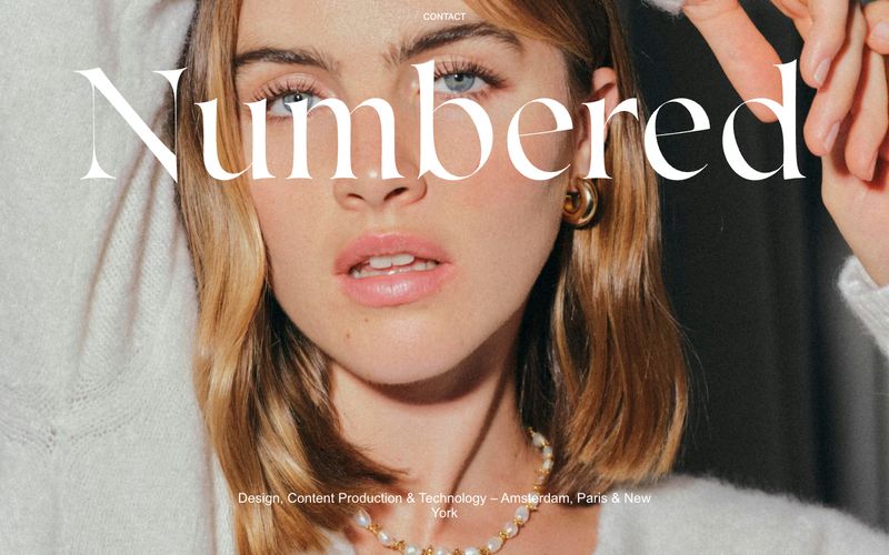 Numbered Refero reference thumbnail